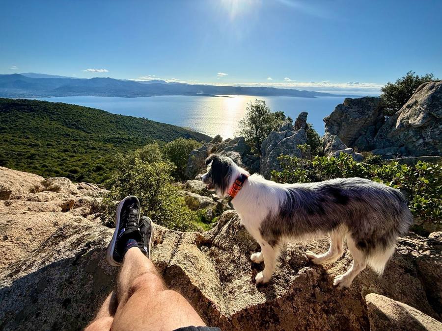 Une pause au sommet, le chien devant le golfe d'Ajaccio